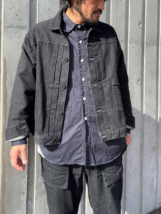 Town & Country Safari (Poplin)