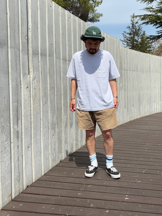 【RAILROAD SOCKS】 Health Trak Therapeutic "Exclusive Stripe" Socks (2Pair)