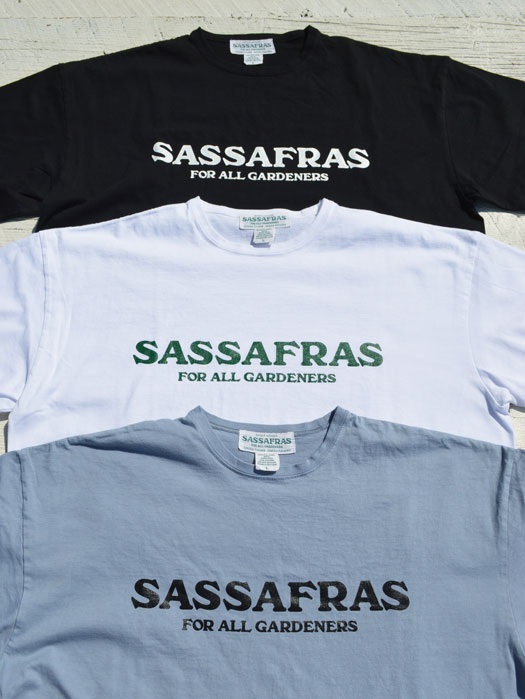 SASSAFRAS T 1/2