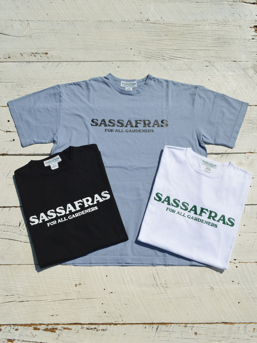SASSAFRAS T 1/2