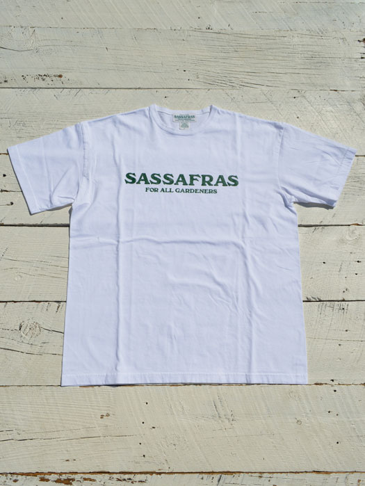 SASSAFRAS T 1/2