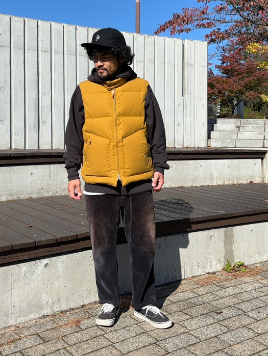 GOOSE DOWN VEST