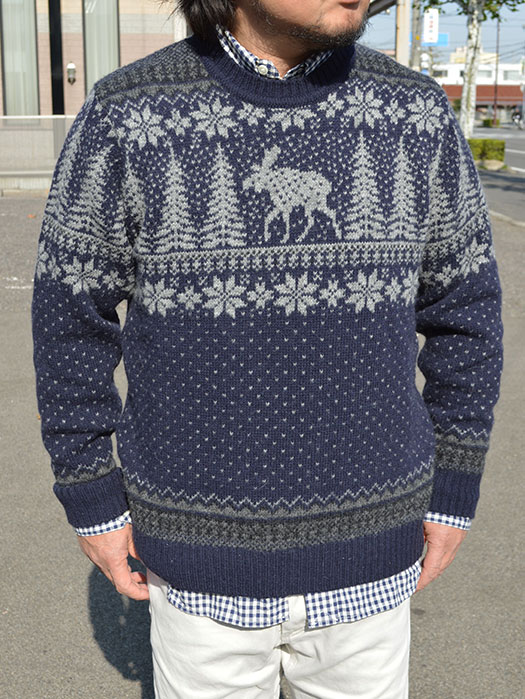 NR STYLE　737　　　11/11/2014