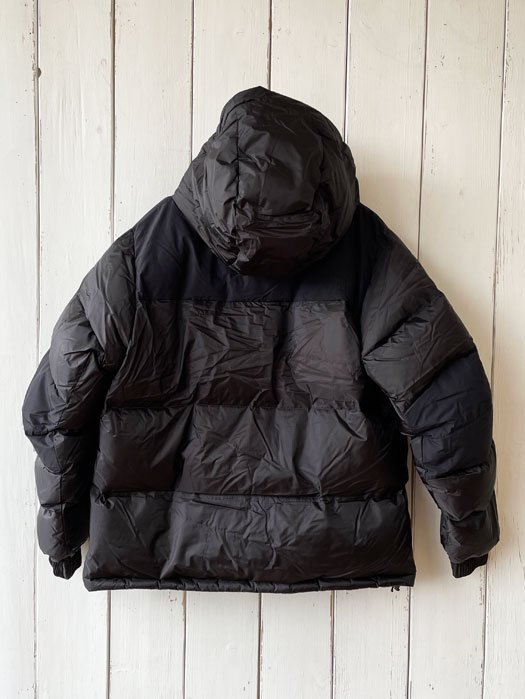 WS Nuptse Hoodie